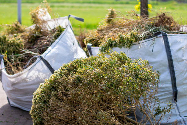 Best Moving and Downsizing Cleanouts  in Combee Settlement, FL